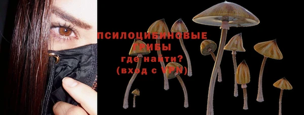 а пвп мука Абаза