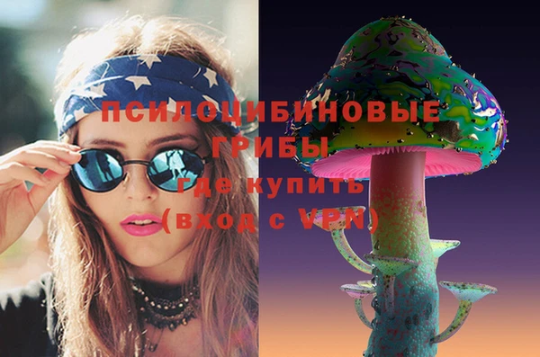 а пвп мука Абаза
