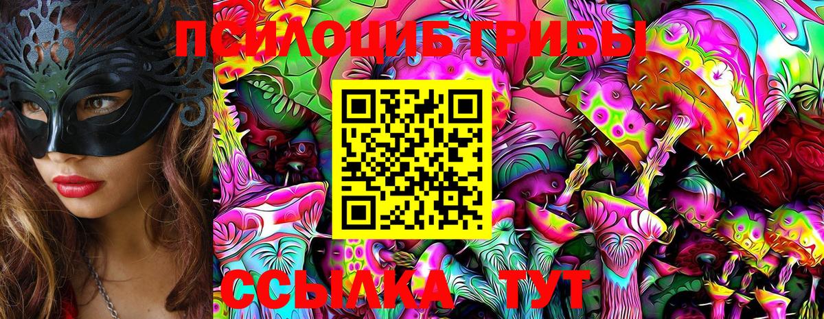 хочу наркоту  Псилоцибиновые грибы ЛСД  Вход с VPN  Тамбов 