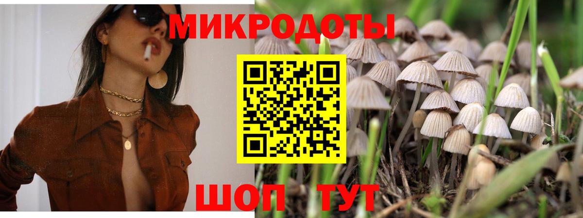 Галлюциногенные грибы Cubensis Тамбов